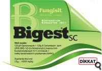 Bigest SC