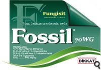 Fossil 70 WG