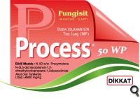 Process 50 WP