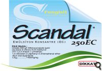 Scandal 250 EC